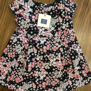 NWT Janie & Jack Floral Jacquard Dress Black Pink White Holiday Christmas 6-12mo